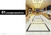 Taicera - Polished Granite Tiles
